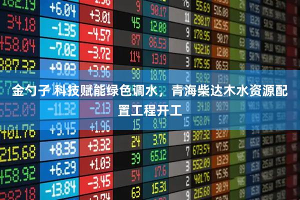 金勺子 科技赋能绿色调水，青海柴达木水资源配置工程开工