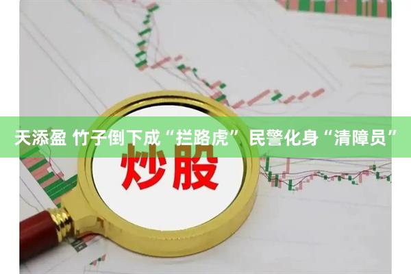 天添盈 竹子倒下成“拦路虎” 民警化身“清障员”
